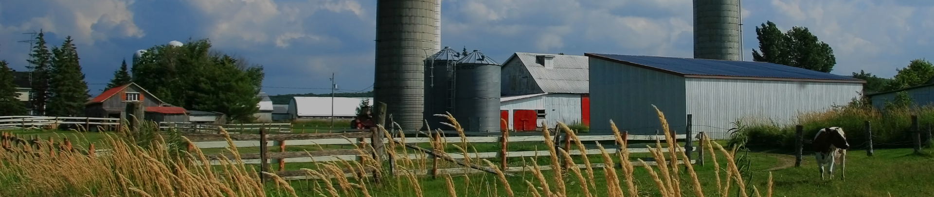 picture of a farm