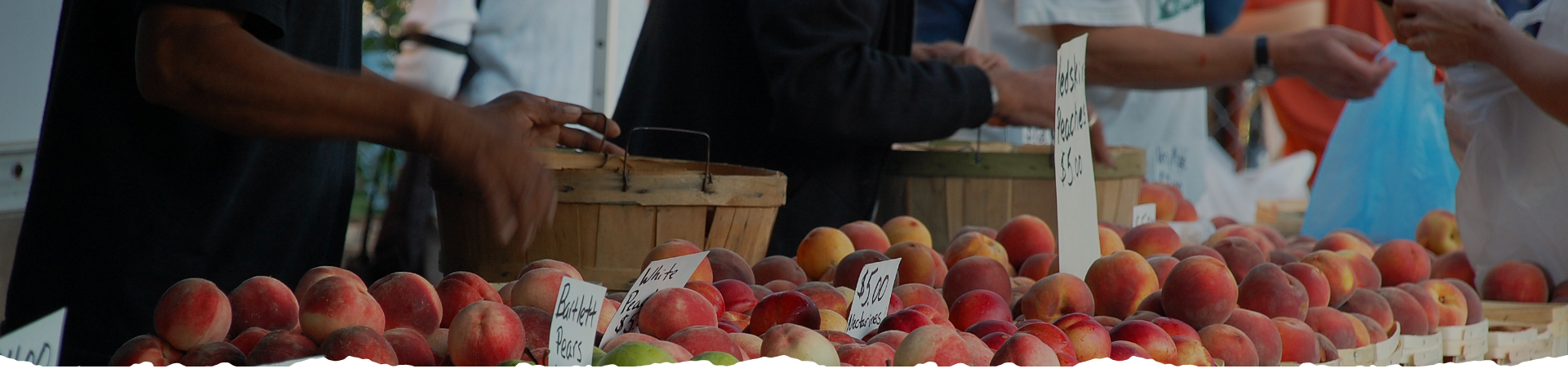 Produce for sale at a marketplace